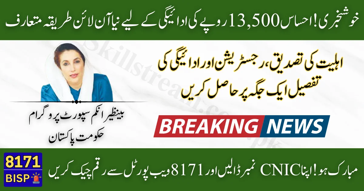 8171-CNIC-Check-for-Ehsaas-13500-Payment-–-New-Online-Method-Explained-2025-Update.
