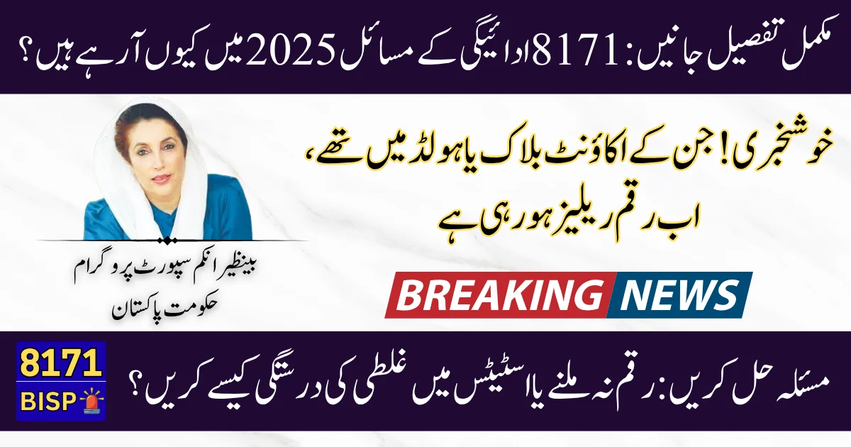 8171-Payment-Problems-in-2025-Heres-How-to-Fix-Them-and-Get-Help