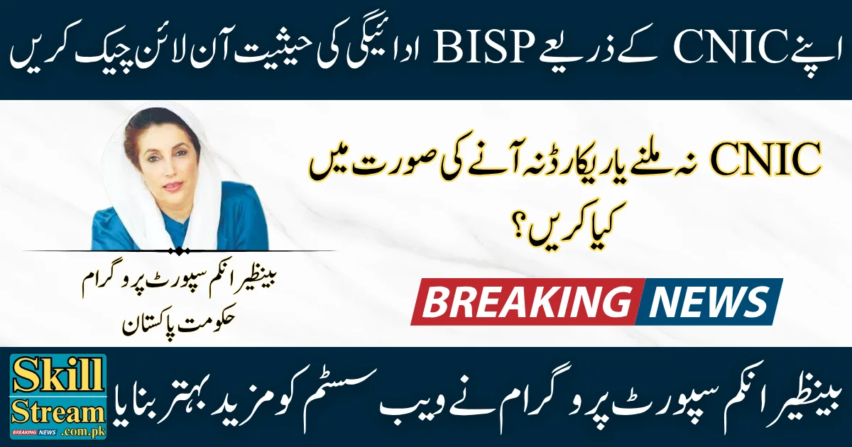 8171 Web Portal August 2025 Update Check Your BISP Payment Status Online with CNIC