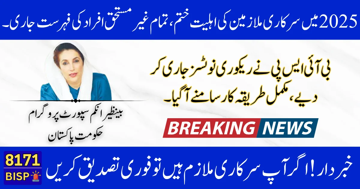 Government Employees Declared Ineligible for BISP Aid – Official Recovery Notices Issued in 2025