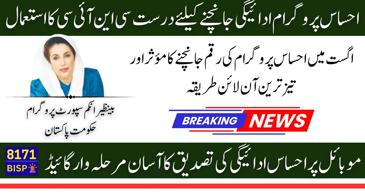 August 2025 Ehsaas Program Payment Guide How New Recipients Can Effortlessly Check Their Disbursement