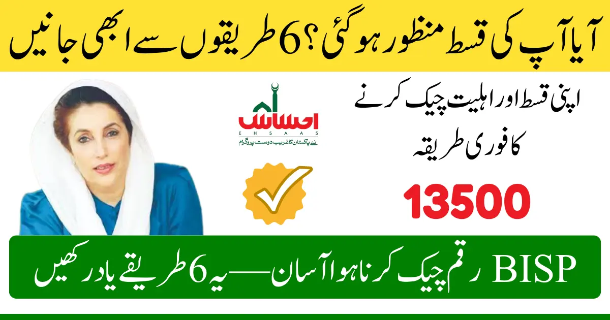 6 Easy Ways to Check BISP 8171 Payment Status Online and Offline